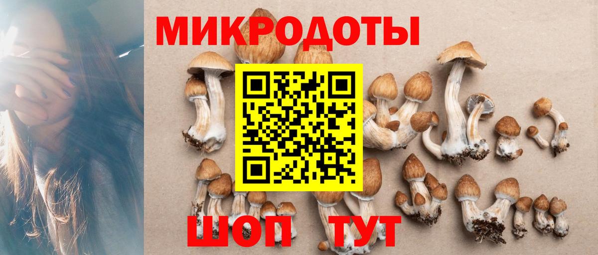 Галлюциногенные грибы мицелий  купить  цена  Псилоцибиновые грибы прущие грибы  Тихвин  Вход с VPN 